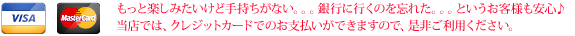 クレジットカードでのお支払いが可能です。